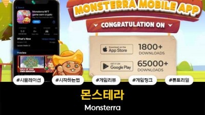 몬스테라 / Monsterra